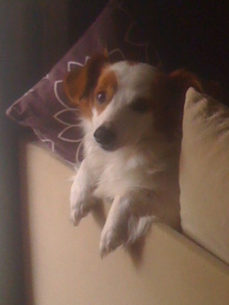 Photo de profil de planette