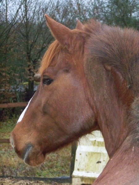 Photo de profil de loupiotte08