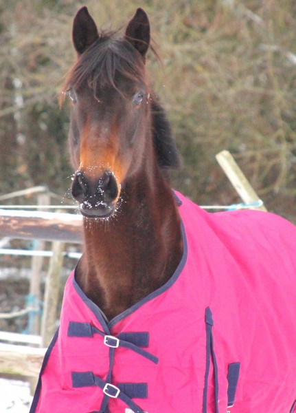 Photo de profil de nessdubourg