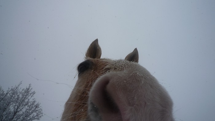 Photo de profil de olena