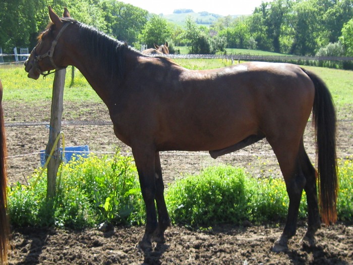 Photo de profil de olman