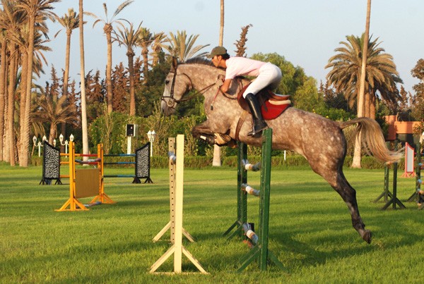 Photo de profil de 1487