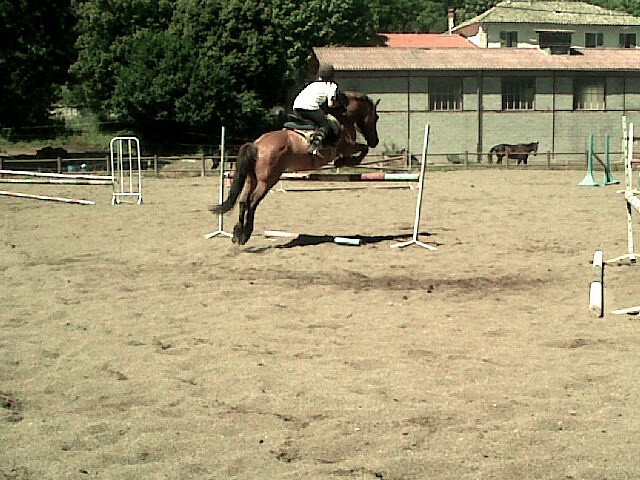 Photo de profil de lenamistik