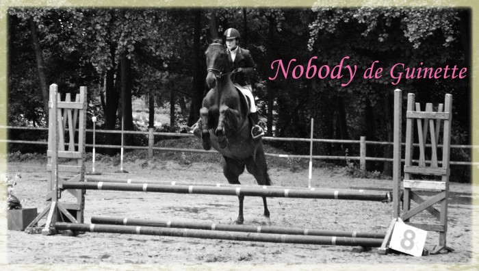 Photo de profil de ninondu61