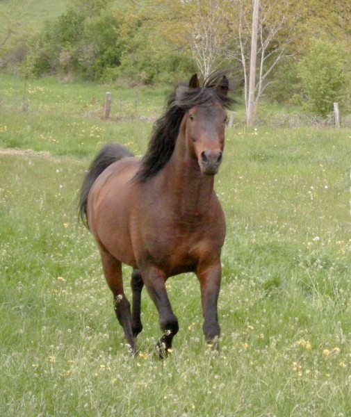 Photo de profil de zabou63