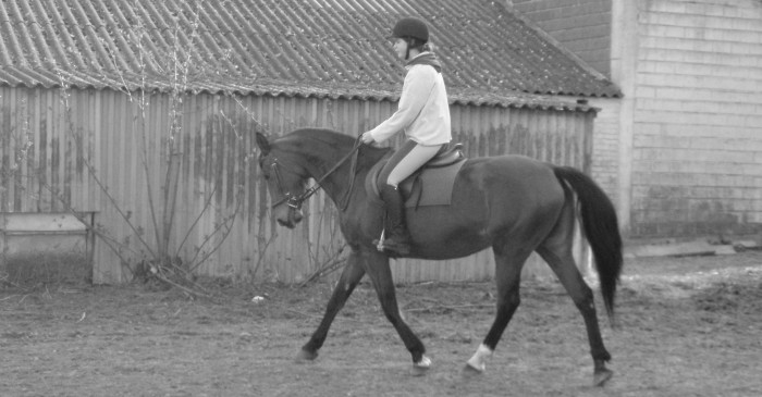 Photo de profil de alilixou