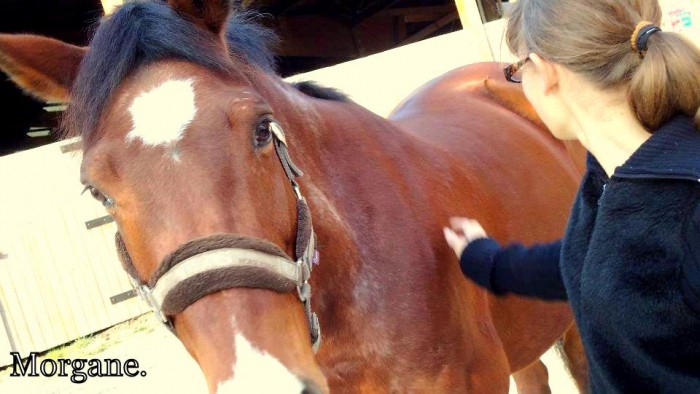 Photo de profil de xmogo