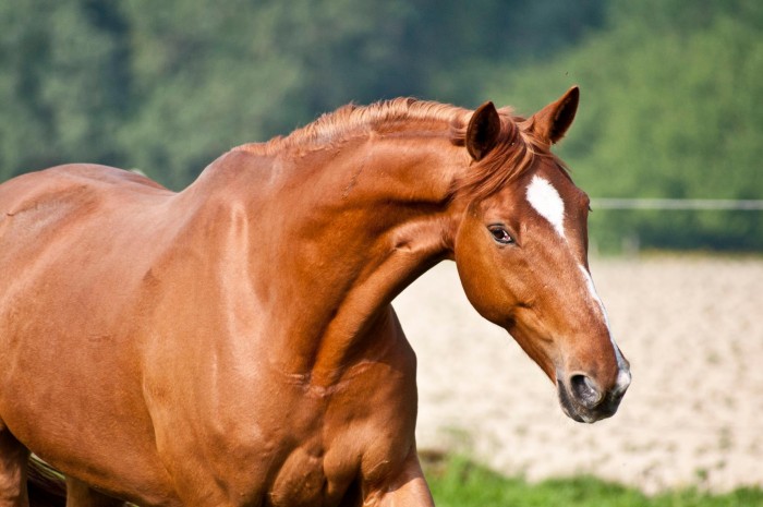 Photo de profil de quydjina