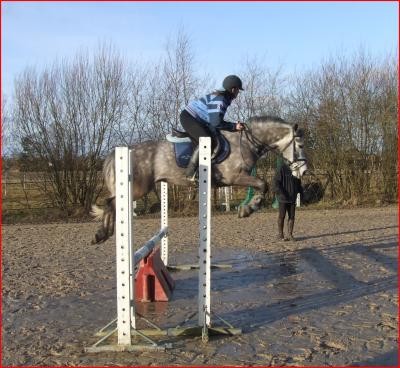 Photo de profil de ponettes