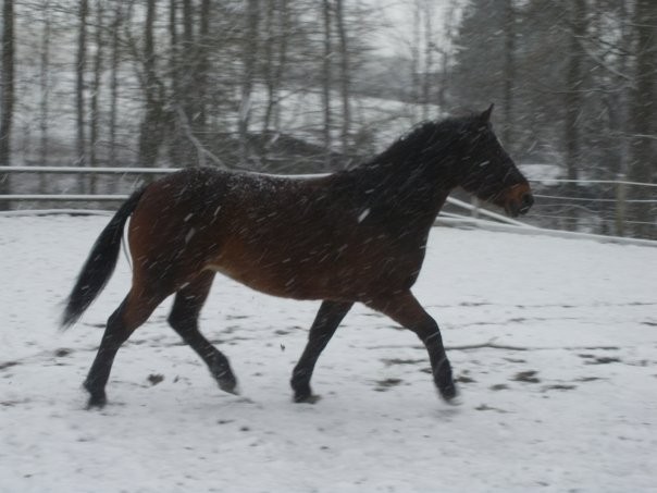 Photo de profil de nanoulukas