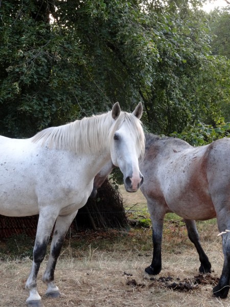 Photo de profil de griotte73