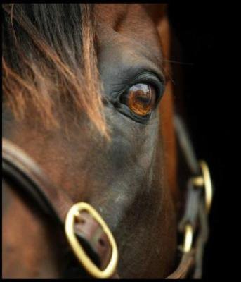 Photo de profil de alpz