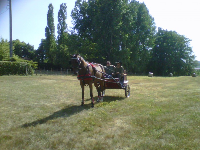 Photo de profil de bourdeau