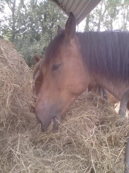 Photo de profil de onlyme