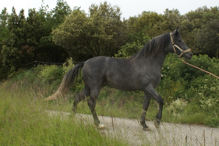 Photo de profil de valido