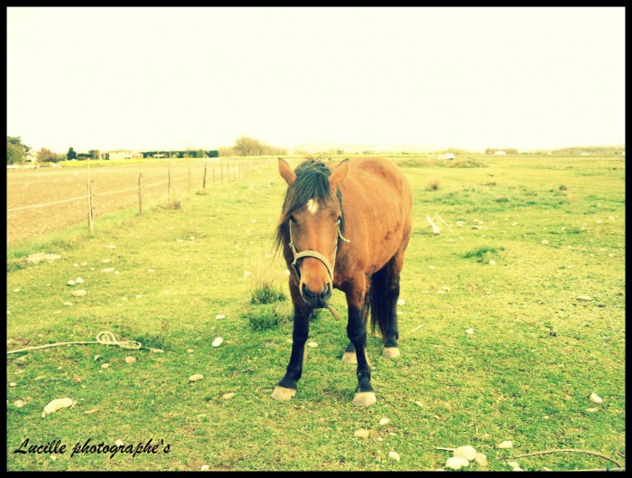 Photo de profil de smoesha12