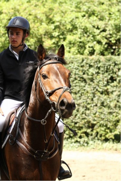 Photo de profil de thibaut1512