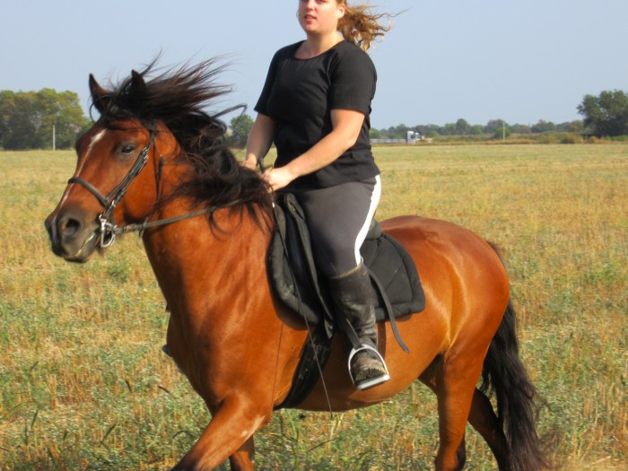 Photo de profil de vroetmelkior