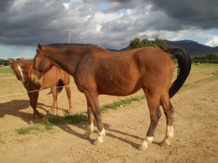 Photo de profil de regine83