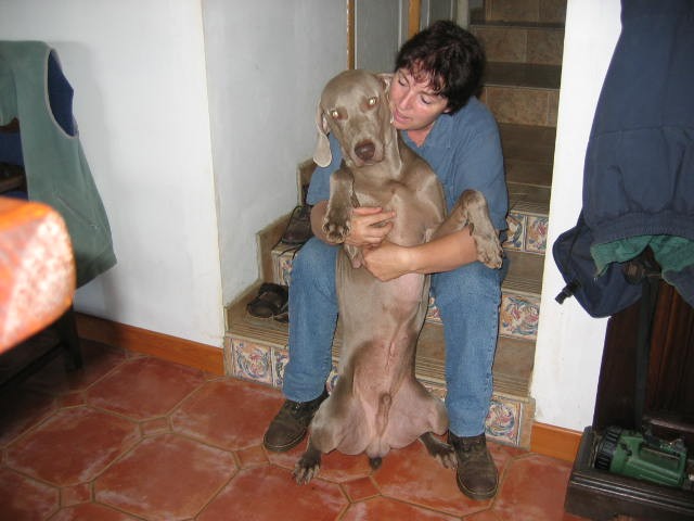 Photo de profil de minouk64