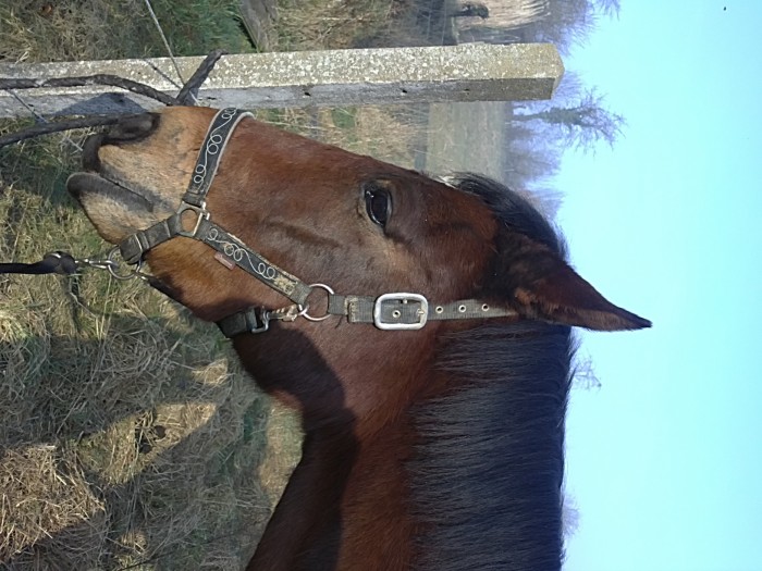 Photo de profil de lacolombe