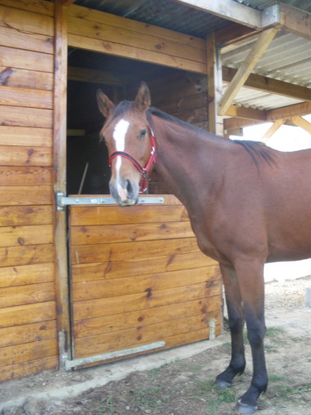 Photo de profil de marie52