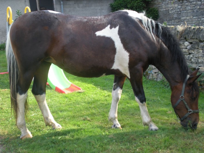 Photo de profil de bsabrina