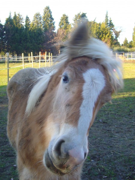 Photo de profil de nanou8413