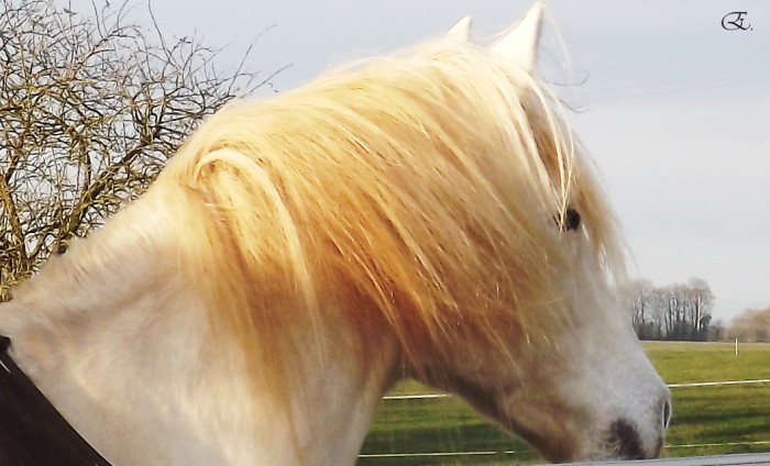 Photo de profil de euphely79
