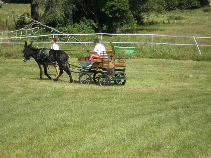 Photo de profil de sourisgrise