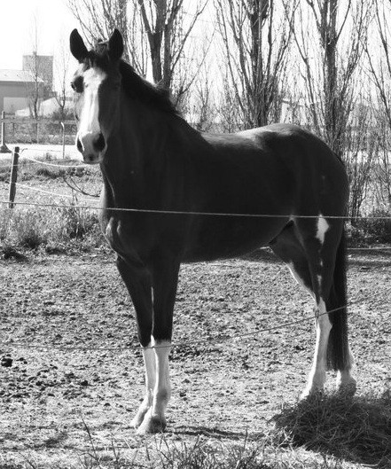 Photo de profil de popex