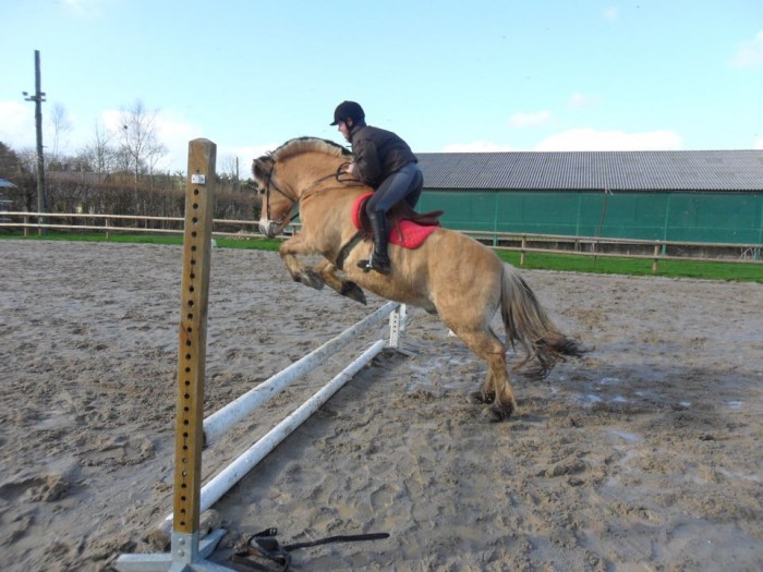 Photo de profil de clara22220