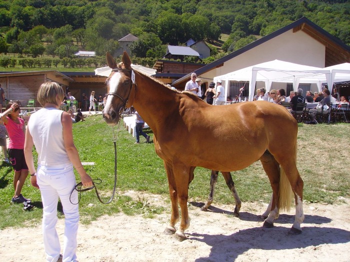 Photo de profil de audimp