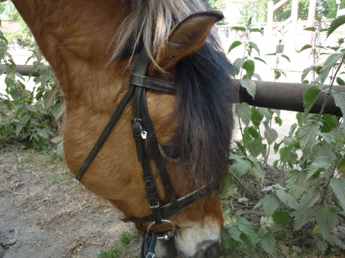 Photo de profil de missway