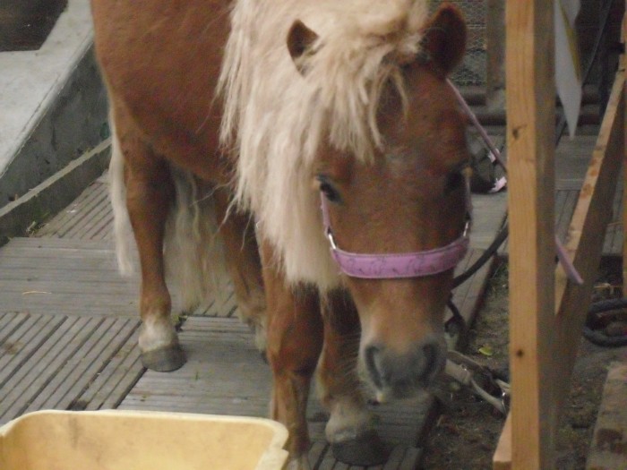 Photo de profil de dorianesimba
