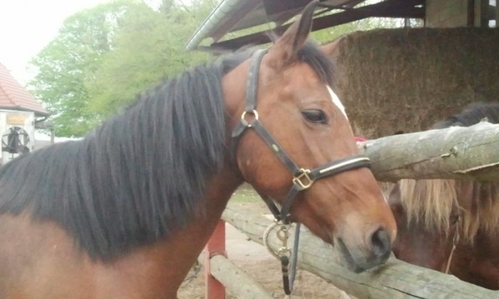 Photo de profil de madoudou