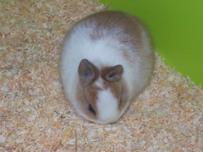 Photo de profil de equic