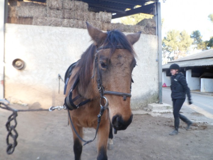 Photo de profil de liisacheval
