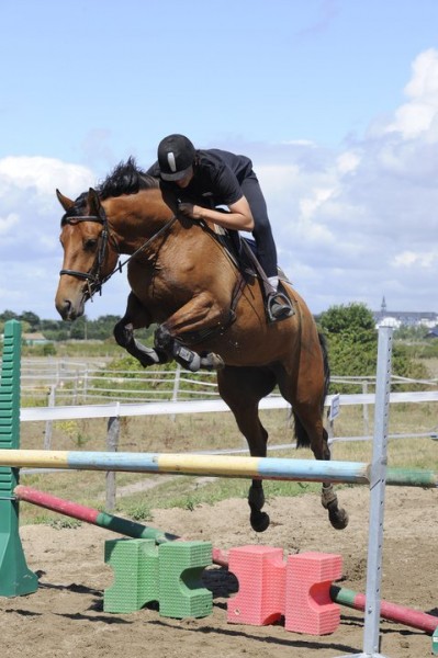 Photo de profil de pintopierrick