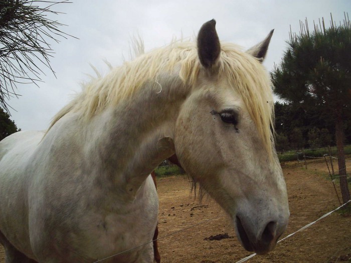 Photo de profil de pacha30