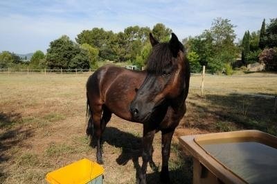 Photo de profil de olivia83