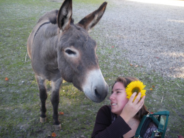 Photo de profil de belloqui