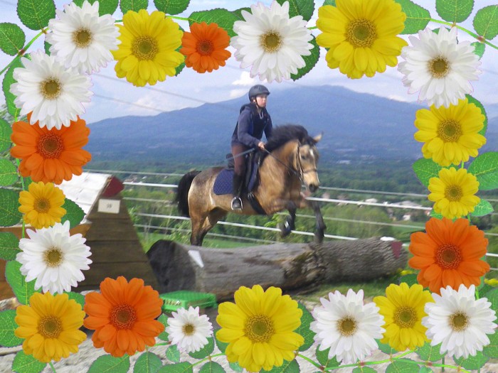 Photo de profil de nikita74