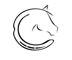 Photo de profil de ouvrellebastien