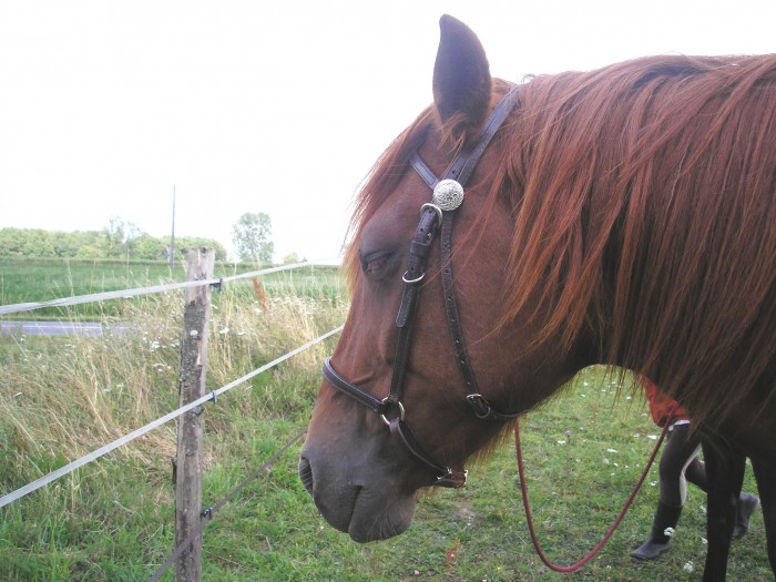 Photo de profil de raph87