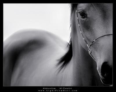 Photo de profil de lilij