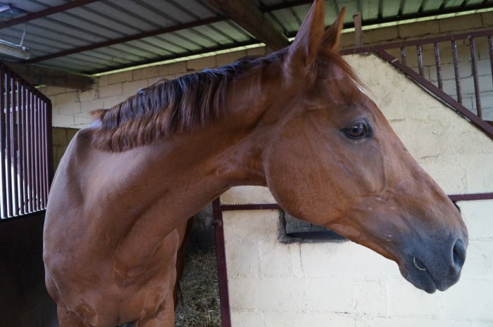 Photo de profil de riverblue