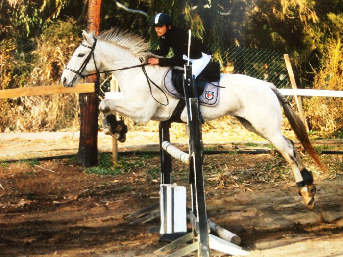 Photo de profil de spirit19