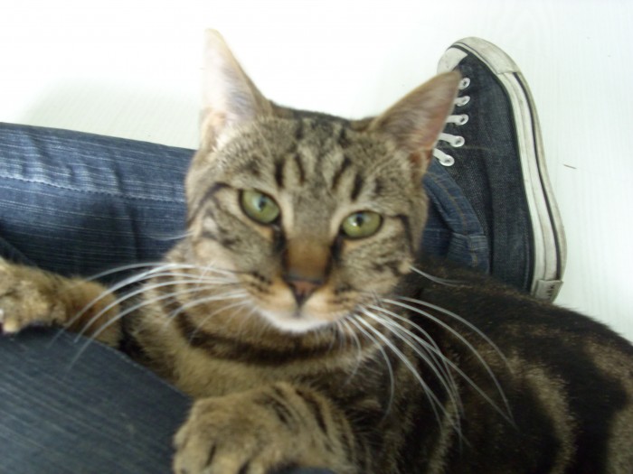 Photo de profil de diabolo78
