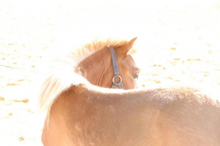 Photo de profil de aliedu37